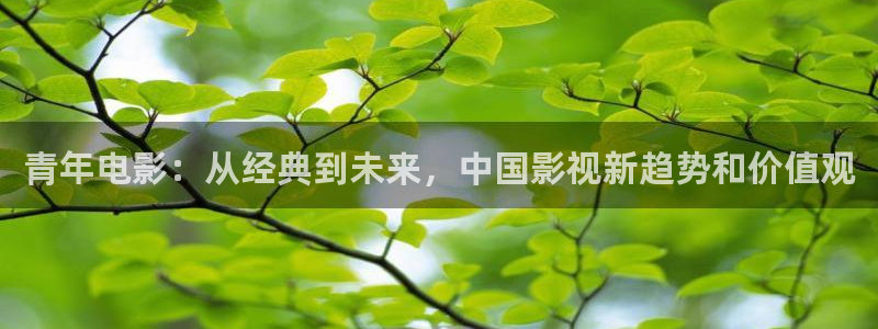 神马影院在线观看福利