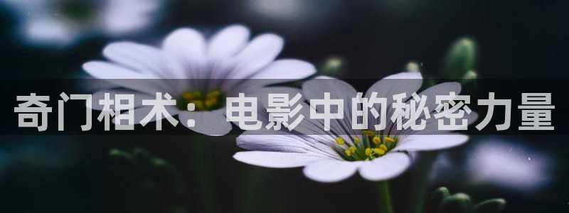 神马片