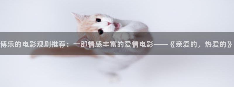 91n神马影院
