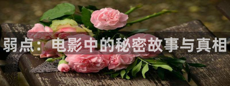 神马影院第九影视