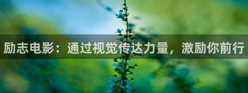 原来神马电影在线观看完整版