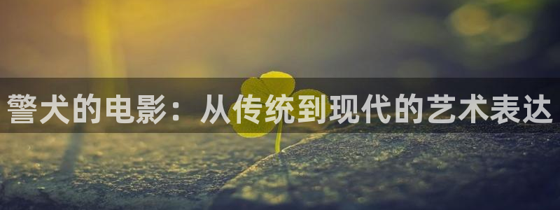 神马理论福利电影