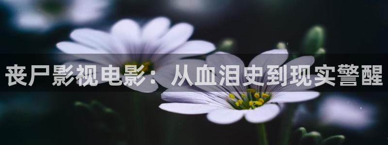 16我不卡神马影院