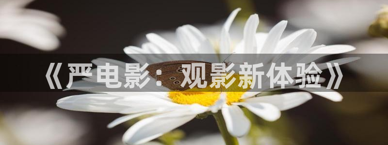 神马午夜嘿嘿影院