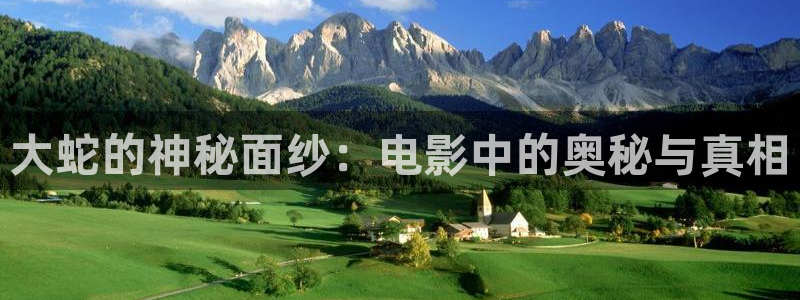 2012年神马影院