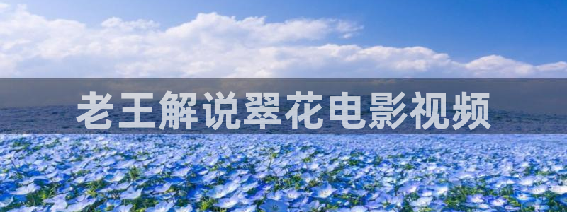 神马影院伦理片在线播放