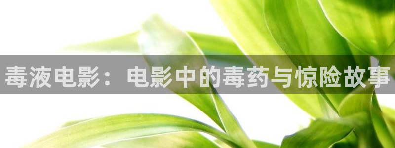 神马影院手机看片