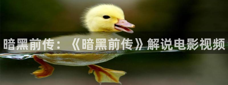 神马影院在线观看麻豆