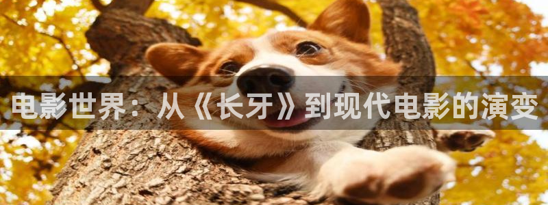 神马影院a