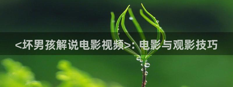 神马理论影视网