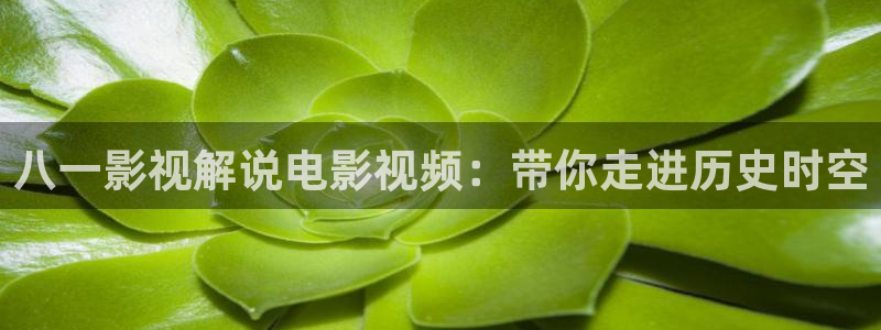 神马影院手机伦理