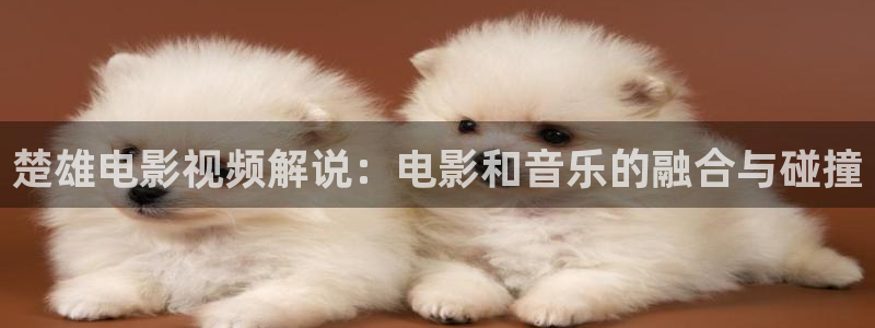 原来神马电影免费观看电影