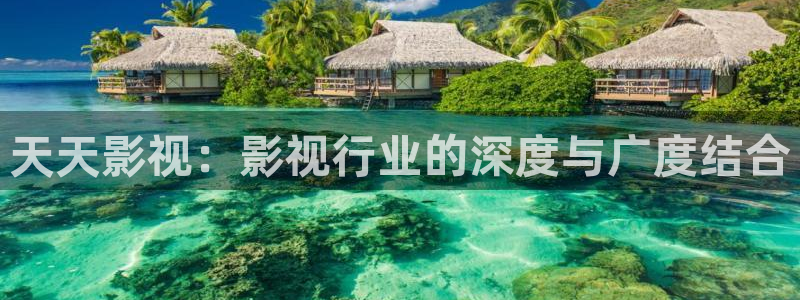神马我不卡手机电影