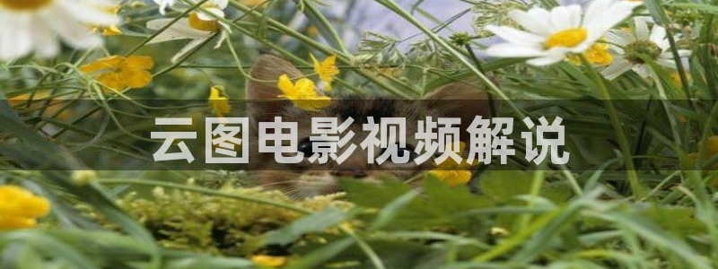 神马电影神马影院神马电影网