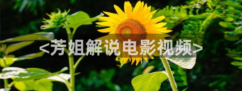 午夜电影网神马
