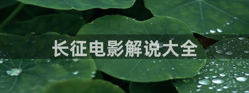 神马高清在线