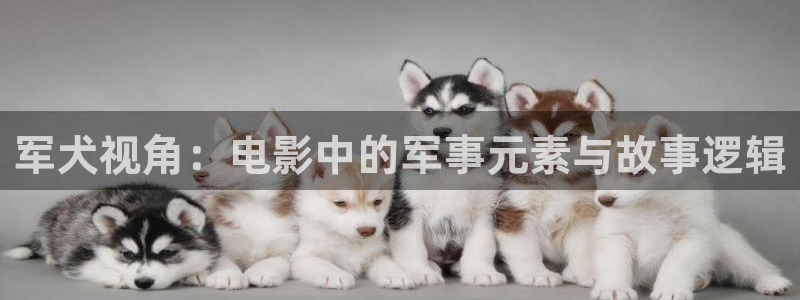 神马影院理论片免费
