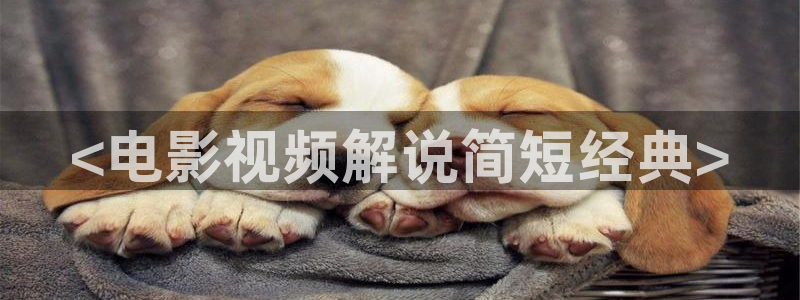神马午夜免费电影