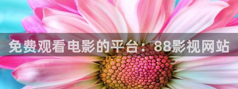 神马影院大香久久