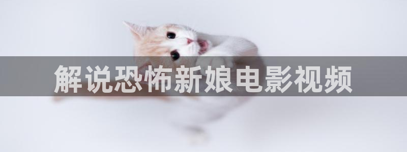 神马51伦理