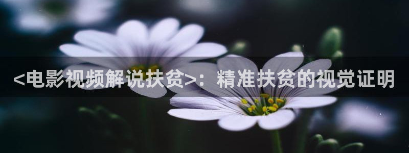沧元图神马影院