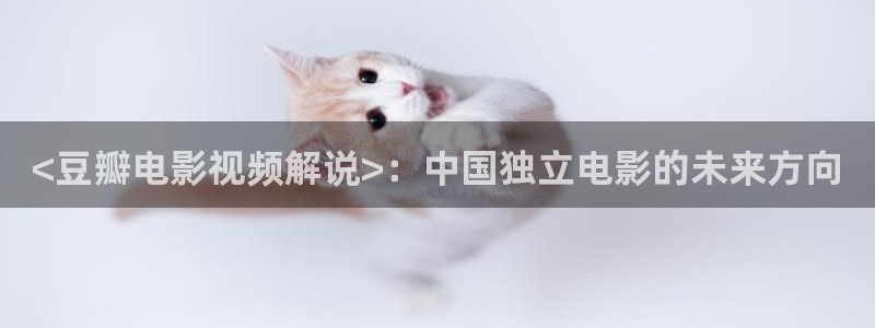 神马影院视频网