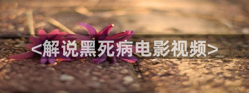 神马电影网伦理在线观看