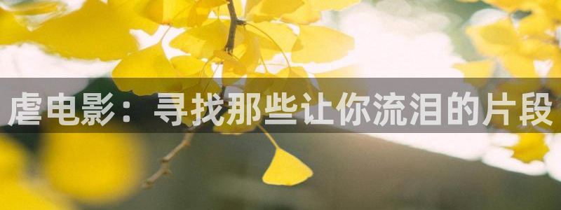 神马影院我不卡888在线观看