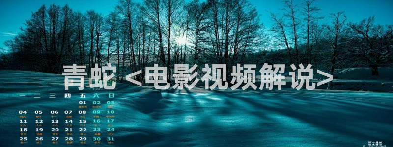 神马伦理影音