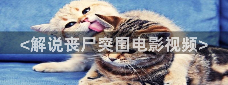 神马未来影院在线看