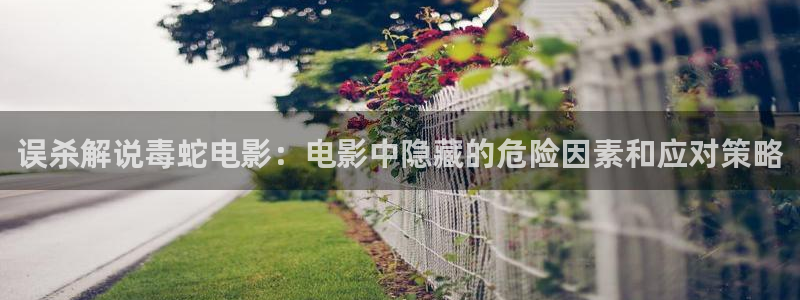 神马星辰电影网