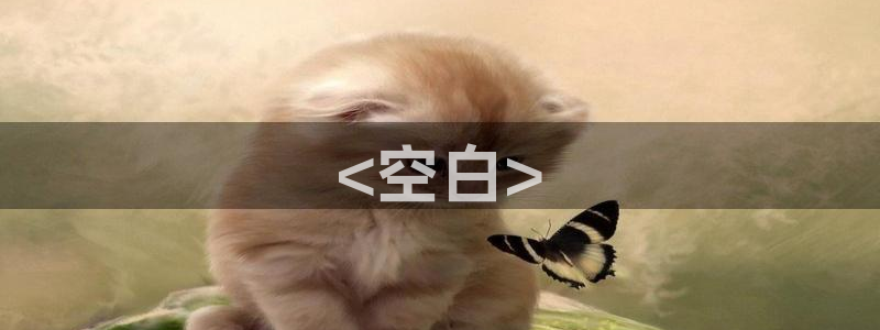 神马二级片网站
