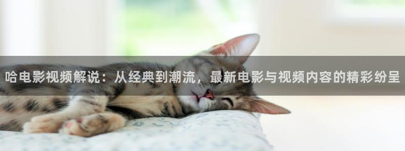 老子影视神马