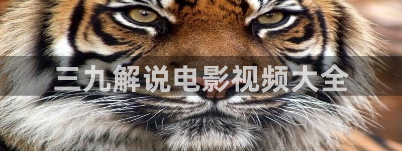 神马午马最新推理电影