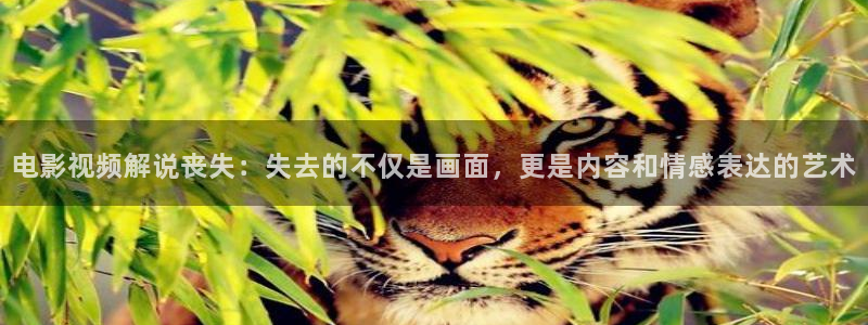 电影神马免费完整版